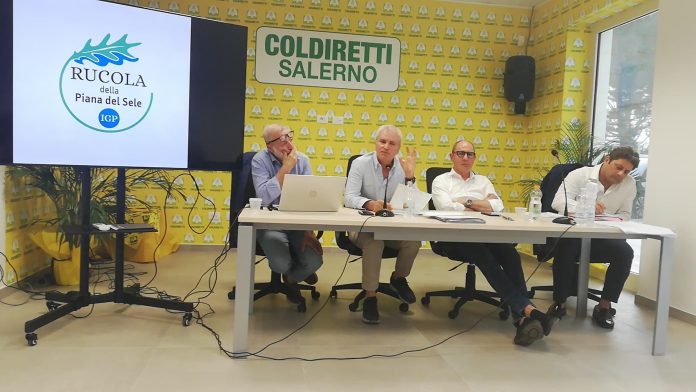 consorzio rucola riunione eboli (1)