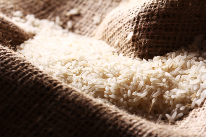 Immagine che rappresenta il riso italiano