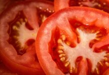 Accordo prezzi pomodoro da industria: quotazioni troppo basse