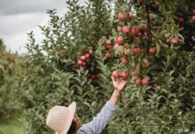 Donne escluse da fondi e misure per l’agricoltura