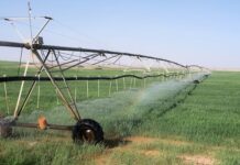 Negli ultimi quattro anni gli effetti dei cambiamenti climatici hanno causato danni per oltre 20 miliardi di euro all’agricoltura