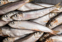 Alici giù del 31,6%, ma sui banchi del pesce si registrano comunque buoni prezzi