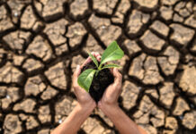 Caldo estremo in agricoltura: serve un indirizzo politico Ue