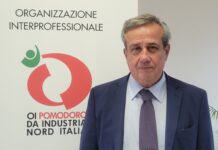 Rese ai minimi dal 2011 per il pomodoro da industria nel Nord Italia, tra siccità e costi record