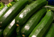 Scendono del 20% le zucchine di campo mentre l’ortofrutta fa i conti con i rincari dei carburanti