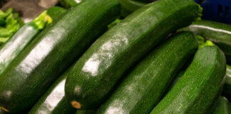 Scendono del 20% le zucchine di campo mentre l’ortofrutta fa i conti con i rincari dei carburanti