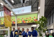 Costieragrumi De Riso a Fruit Attraction 2026: il Limone Costa d’Amalfi IGP tra identità territoriale e nuove opportunità