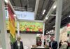 O.P. Puglia e Natura debutta a Fruit Attraction 2026: l’uva da tavola pugliese conquista i mercati internazionali