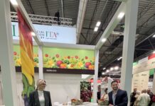 O.P. Puglia e Natura debutta a Fruit Attraction 2026: l’uva da tavola pugliese conquista i mercati internazionali