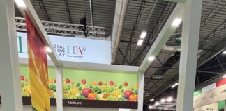 O.P. Puglia e Natura debutta a Fruit Attraction 2026: l’uva da tavola pugliese conquista i mercati internazionali