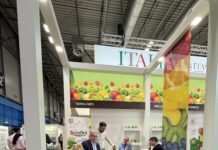 Terra Orti a Fruit Attraction 2026: qualità, sostenibilità e identità del territorio sui mercati internazionali