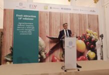 Italian Fruit Village a Fruit Attraction 2026: ventisei espositori e nuove opportunità per l’ortofrutta italiana