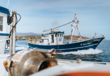 Settimane della Pesca Sostenibile: cresce il bisogno di informazioni certificate