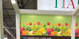 O.P. Agorà a Fruit Attraction 2026: l’uva da tavola e la Fragola della Basilicata al centro della strategia di filiera