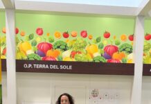 O.P. Terra del Sole a Fruit Attraction 2026: aggregazione e qualità per l’ortofrutta pugliese