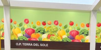 O.P. Terra del Sole a Fruit Attraction 2026: aggregazione e qualità per l’ortofrutta pugliese