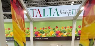 O.P. Puglia Verde a Fruit Attraction 2026: innovazione varietale e nuove opportunità per l’uva da tavola pugliese