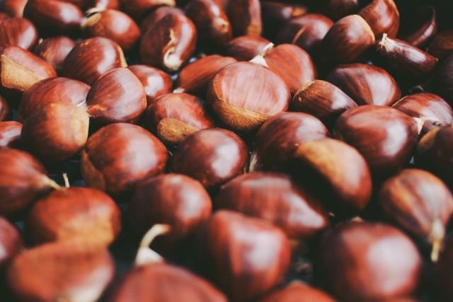 castagne_pex_don_211026